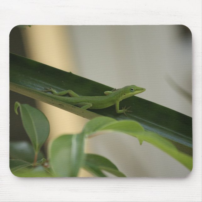 Mousepad Anole Lizard (Frente)