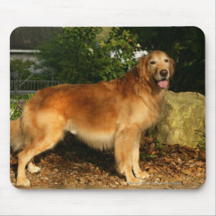 Mousepad Ânsia do golden retriever