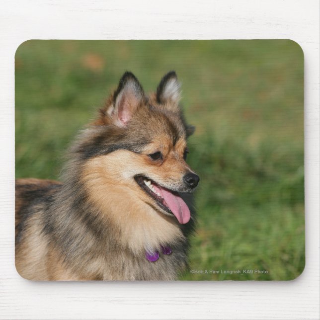 Mousepad Ânsia do Headshot de Pomeranian (Frente)