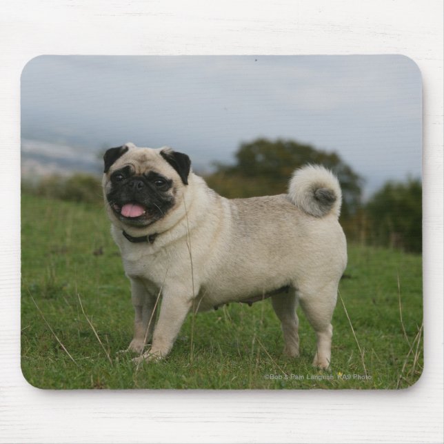 Mousepad Ânsia do Pug (Frente)