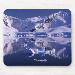 Mousepad Antártida, Baía do Paraíso