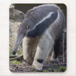 Mousepad Anteater gigante Mousemat