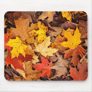 Mousepad Antecedentes Das Folhas Coloridas Do Outono Na Flo