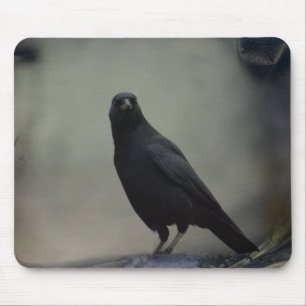 Mousepad Antiga Arte Crow