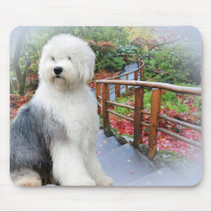 Mousepad Antigo Dia do Primavera de Sheepdog Inglês