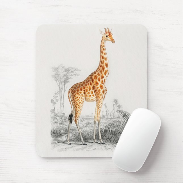 Mousepad Antiguamente Girafa História Natural Impressão Orb (Com mouse)