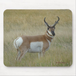 Mousepad Antílope A1 Bighorn