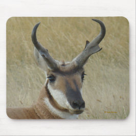 Mousepad Antilope Berrendo A5