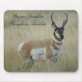 Mousepad Antílope Bighorn A8