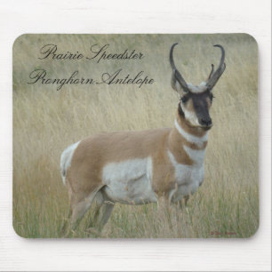 Mousepad Antílope Bighorn A8