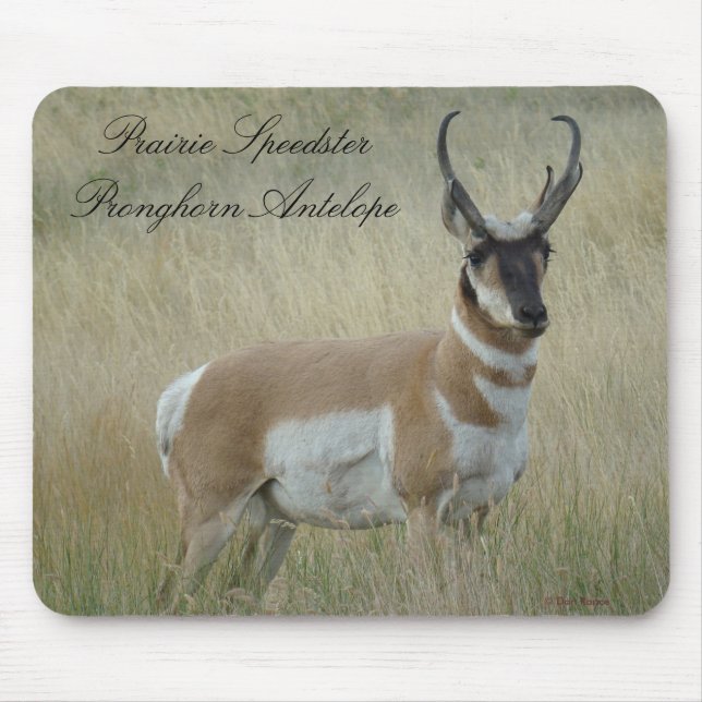 Mousepad Antílope Bighorn A8 (Frente)