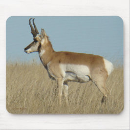 Mousepad Antílope de A46 Pronghorn