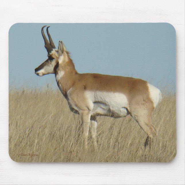 Mousepad Antílope de A46 Pronghorn (Frente)