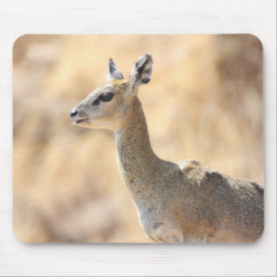 Mousepad antílope de Klipspringer