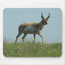 Mousepad Antílope e Wildflowers de A10 Pronghorn