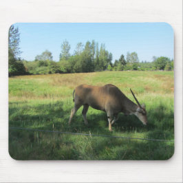 Mousepad Antílope Pastando