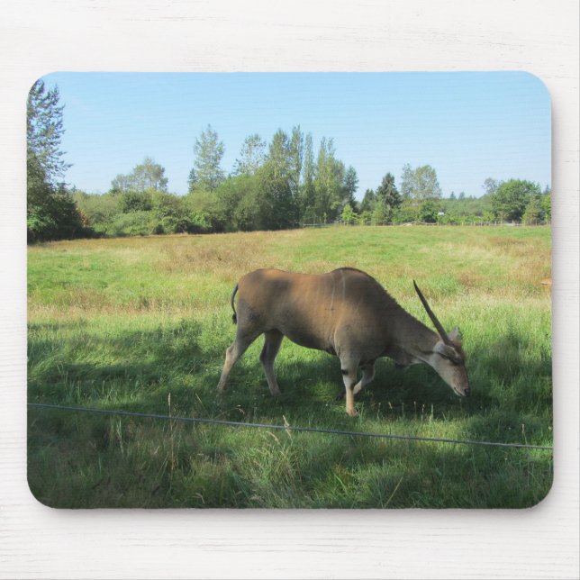 Mousepad Antílope Pastando (Frente)