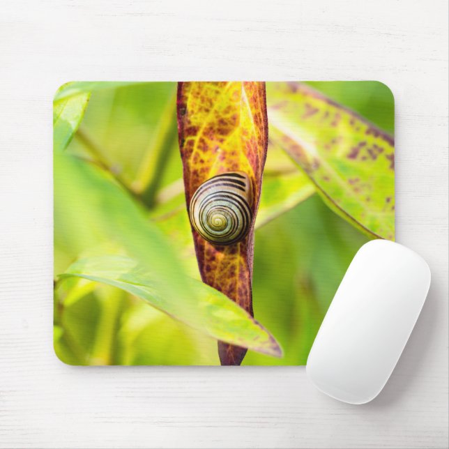Mousepad apego calmo (Com mouse)