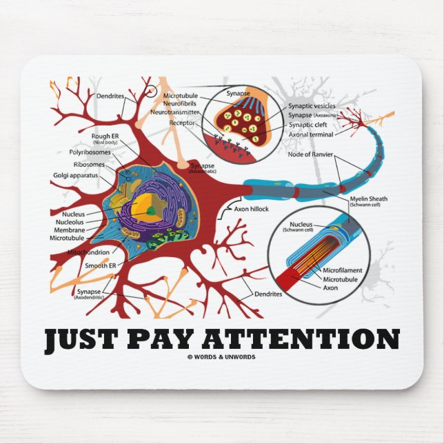 Mousepad Apenas atenção do pagamento (neurônio/sinapse) (Frente)