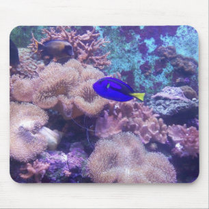 Mousepad Apenas mantenha nadar