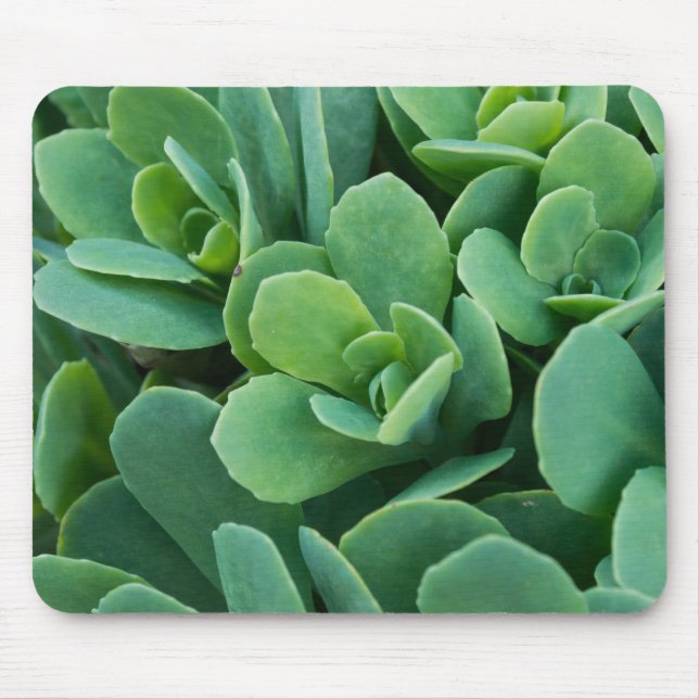 Mousepad Apenas Sedum (Frente)