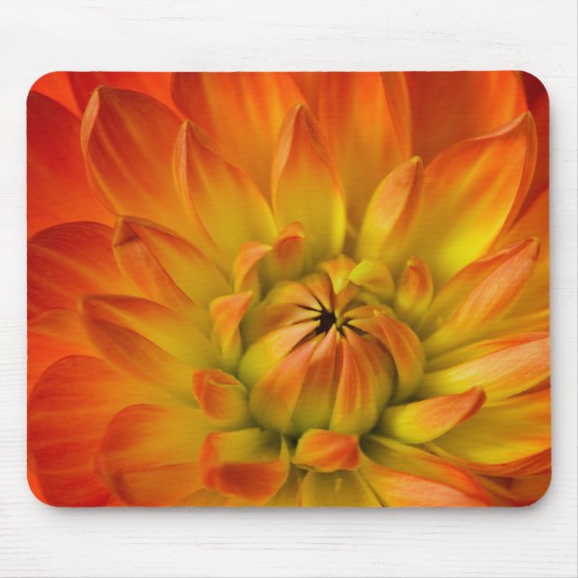Mousepad Apertado em fotografias de flor de Dalhia com a (Frente)