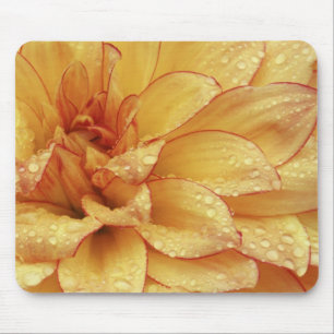 Mousepad Apertado em fotografias de flor de Dalhia com os 2
