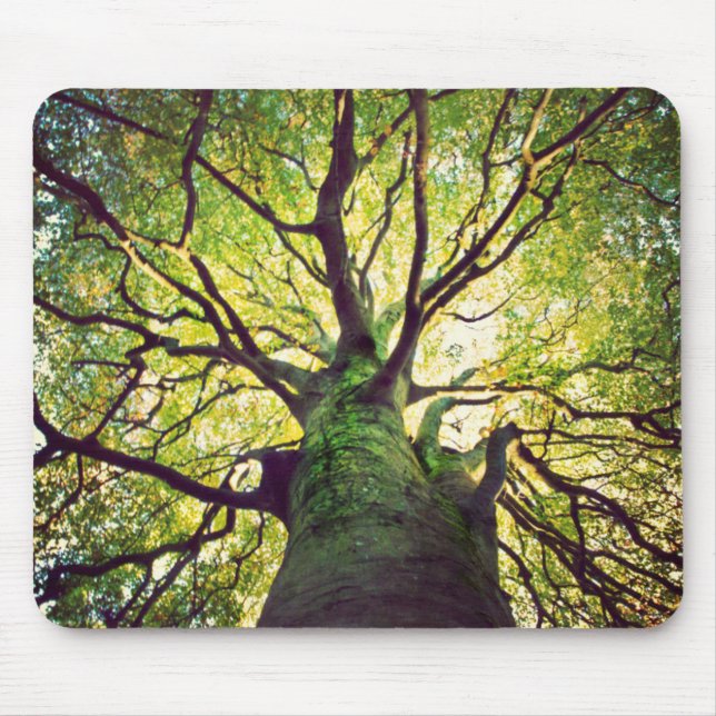Mousepad Aperto da árvore (Frente)