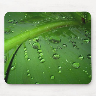 Mousepad Após a chuva
