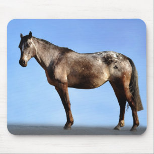 Mousepad Appaloosa