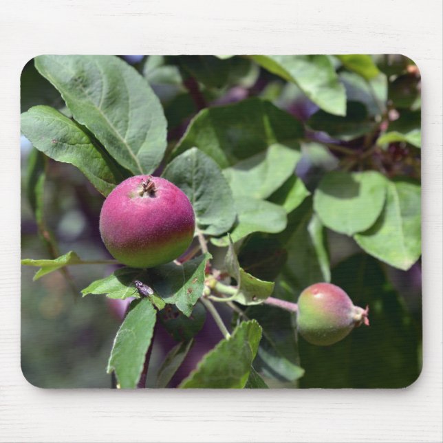 Mousepad Apple ligado (Frente)