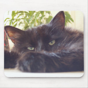 Mousepad Apreciando seu rato