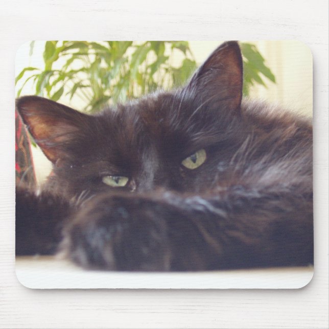 Mousepad Apreciando seu rato (Frente)