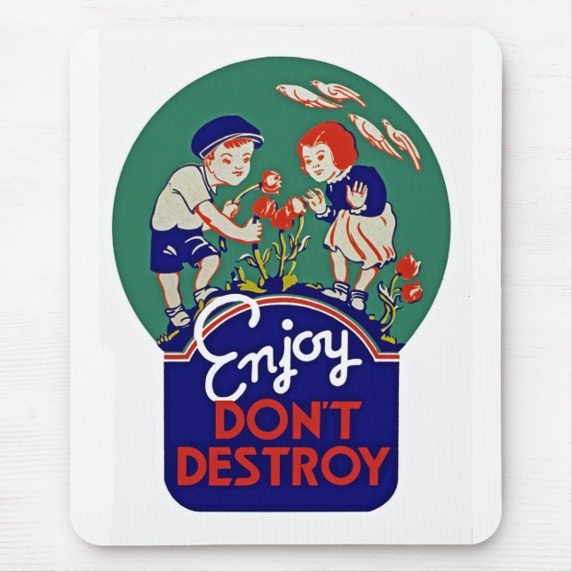Mousepad Aproveite Não Destruir (Frente)