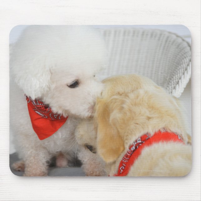 Mousepad Aproximação de dois cães (Frente)