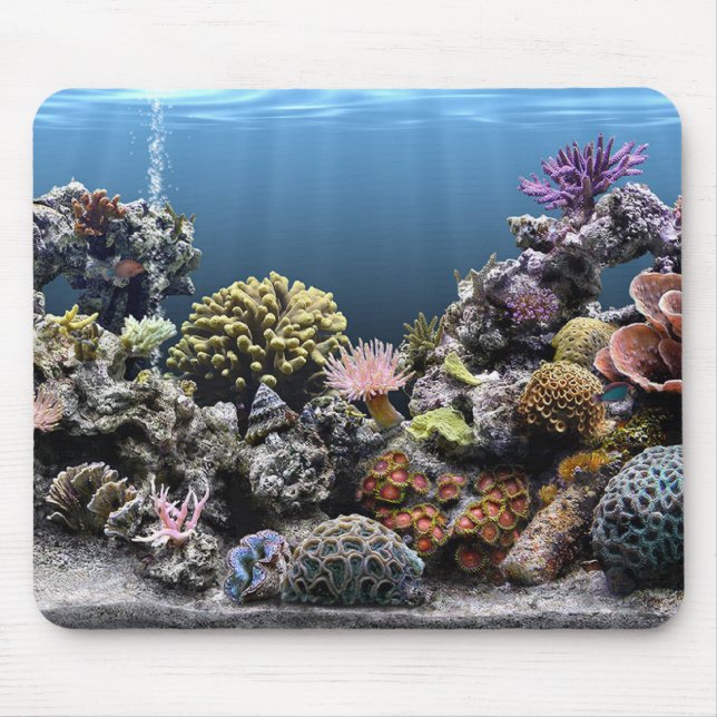 Mousepad Aquário (Frente)