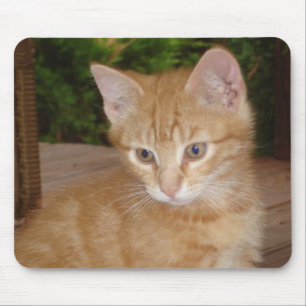 Mousepad Aqui, Mousey, Mousey!