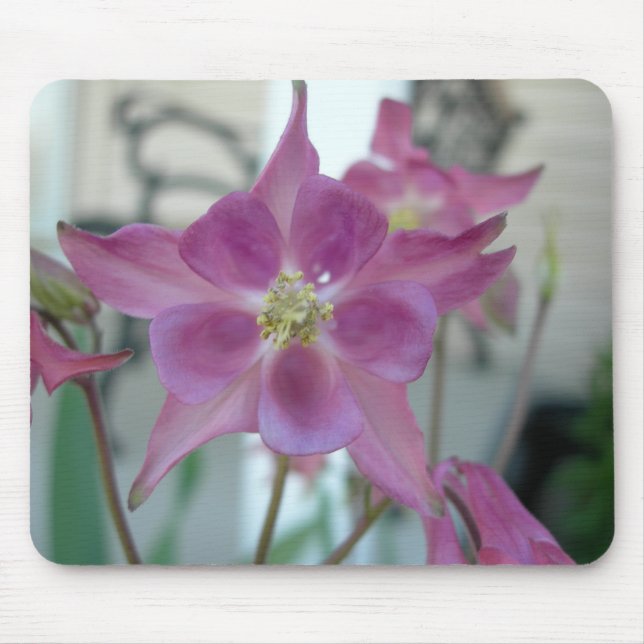 Mousepad aquilégia da flor (Frente)