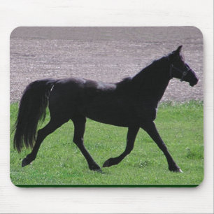 Mousepad árabe do perfil