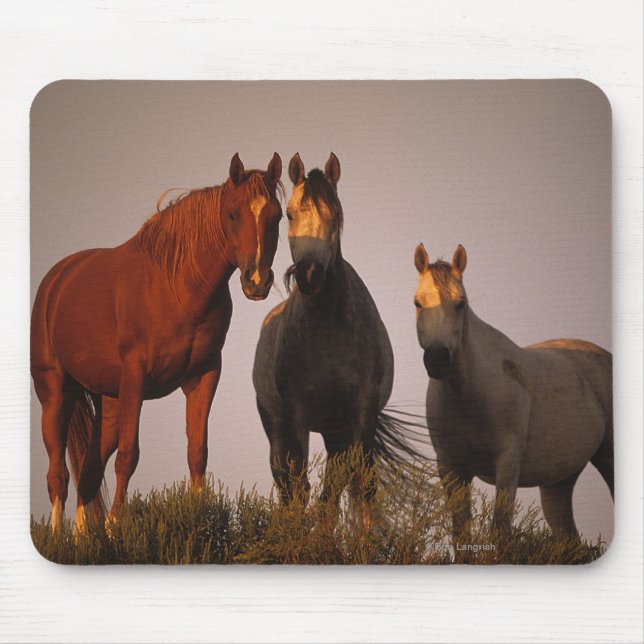 Mousepad Árabes no por do sol (Frente)