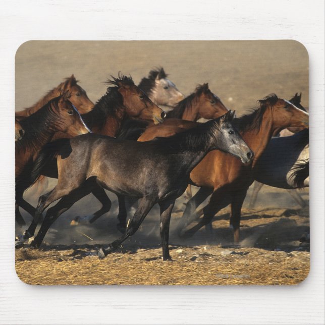 Mousepad Árabes que funcionam no deserto (Frente)