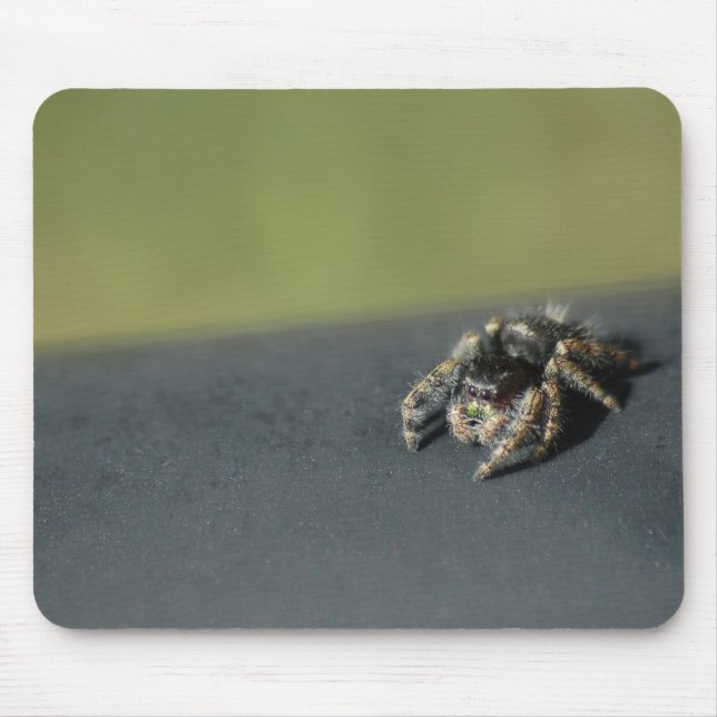 Mousepad Aranha (Frente)