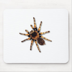 Mousepad Aranha