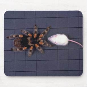 Mousepad Aranha assustador do Tarantula e rato branco