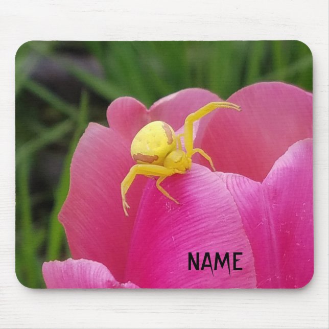 Mousepad Aranha-de-caranguejo Amarelo Brilhe Seu Nome (Frente)