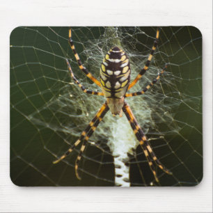 Mousepad Aranha de jardim amarela