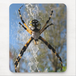 Mousepad Aranha do Argiope
