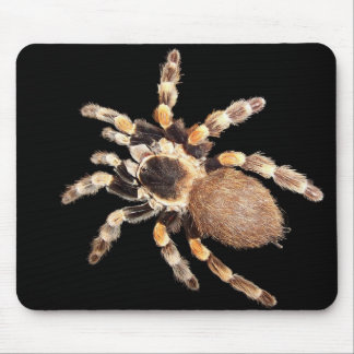 Mousepad Aranha do Tarantula