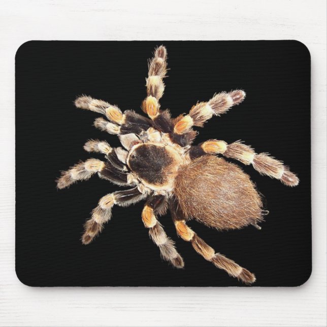 Mousepad Aranha do Tarantula (Frente)