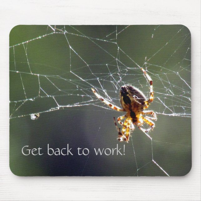 Mousepad - Aranha iluminada por Sol (Frente)